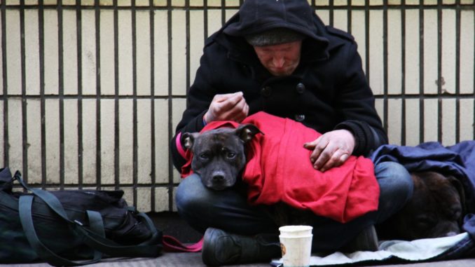 Un sans-abri et son chien dans une rue de Londres, au Royaume-Uni.